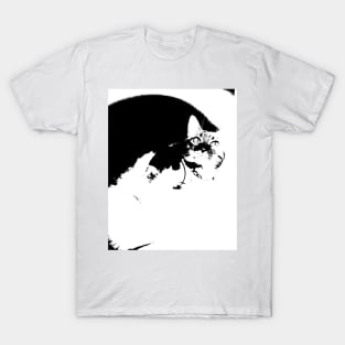 Empty Space Cat Lovers T-Shirt